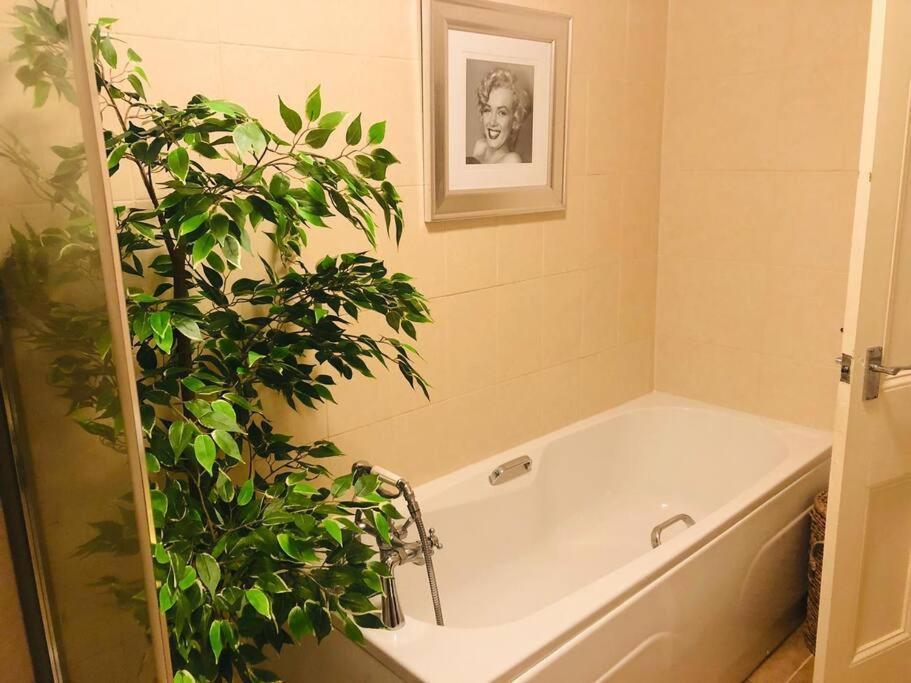 Ilkley Garden Suite Buitenkant foto